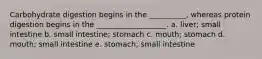 Carbohydrate digestion begins in the __________, whereas protein digestion begins in the ___________________. a. liver; small intestine b. small intestine; stomach c. mouth; stomach d. mouth; small intestine e. stomach; small intestine