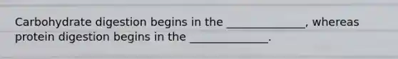 Carbohydrate digestion begins in the ______________, whereas protein digestion begins in the ______________.