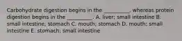 Carbohydrate digestion begins in the __________, whereas protein digestion begins in the __________. A. liver; small intestine B. small intestine; stomach C. mouth; stomach D. mouth; small intestine E. stomach; small intestine