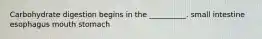 Carbohydrate digestion begins in the __________. small intestine esophagus mouth stomach