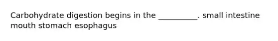 Carbohydrate digestion begins in the __________. small intestine mouth stomach esophagus