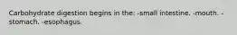 Carbohydrate digestion begins in the: -small intestine. -mouth. -stomach. -esophagus.