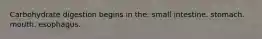 Carbohydrate digestion begins in the: small intestine. stomach. mouth. esophagus.