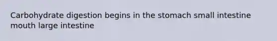 Carbohydrate digestion begins in the stomach small intestine mouth large intestine
