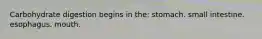 Carbohydrate digestion begins in the: stomach. small intestine. esophagus. mouth.