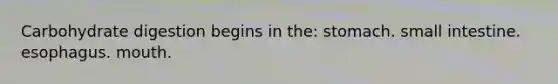 Carbohydrate digestion begins in the: stomach. small intestine. esophagus. mouth.