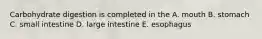 Carbohydrate digestion is completed in the A. mouth B. stomach C. small intestine D. large intestine E. esophagus