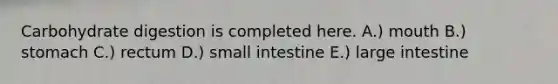 Carbohydrate digestion is completed here. A.) mouth B.) stomach C.) rectum D.) small intestine E.) large intestine