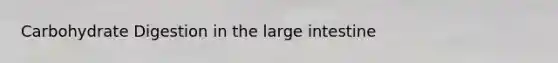 Carbohydrate Digestion in the <a href='https://www.questionai.com/knowledge/kGQjby07OK-large-intestine' class='anchor-knowledge'>large intestine</a>