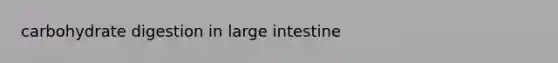 carbohydrate digestion in large intestine