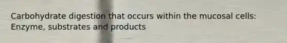 Carbohydrate digestion that occurs within the mucosal cells: Enzyme, substrates and products