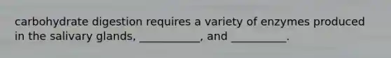 carbohydrate digestion requires a variety of enzymes produced in the salivary glands, ___________, and __________.