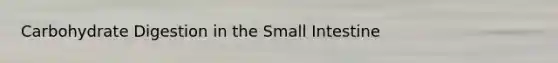 Carbohydrate Digestion in the Small Intestine