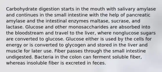 Carbohydrate digestion starts in the mouth with salivary amylase and continues in the small intestine with the help of pancreatic amylase and the intestinal enzymes maltase, sucrase, and lactase. Glucose and other monosaccharides are absorbed into the bloodstream and travel to the liver, where nonglucose sugars are converted to glucose. Glucose either is used by the cells for energy or is converted to glycogen and stored in the liver and muscle for later use. Fiber passes through the small intestine undigested. Bacteria in the colon can ferment soluble fiber, whereas insoluble fiber is excreted in feces.