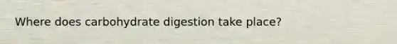 Where does carbohydrate digestion take place?