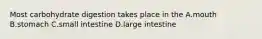 Most carbohydrate digestion takes place in the A.mouth B.stomach C.small intestine D.large intestine