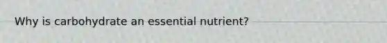 Why is carbohydrate an essential nutrient?