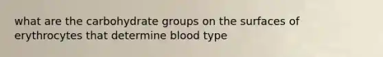 what are the carbohydrate groups on the surfaces of erythrocytes that determine blood type