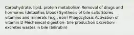 Carbohydrate, lipid, protein metabolism Removal of drugs and hormones (detoxifies blood) Synthesis of bile salts Stores vitamins and minerals (e.g., iron) Phagocytosis Activation of vitamin D Mechanical digestion- bile production Excretion- excretes wastes in bile (bilirubin)