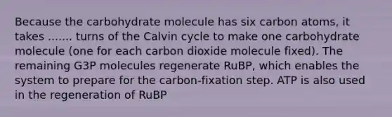 Because the carbohydrate molecule has six carbon atoms, it takes ....... turns of the Calvin cycle to make one carbohydrate molecule (one for each carbon dioxide molecule fixed). The remaining G3P molecules regenerate RuBP, which enables the system to prepare for the carbon-fixation step. ATP is also used in the regeneration of RuBP