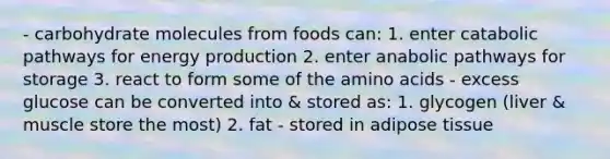 - carbohydrate molecules from foods can: 1. enter catabolic pathways for energy production 2. enter anabolic pathways for storage 3. react to form some of the amino acids - excess glucose can be converted into & stored as: 1. glycogen (liver & muscle store the most) 2. fat - stored in adipose tissue