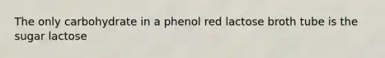 The only carbohydrate in a phenol red lactose broth tube is the sugar lactose