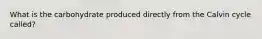 What is the carbohydrate produced directly from the Calvin cycle called?