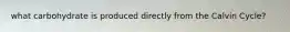 what carbohydrate is produced directly from the Calvin Cycle?
