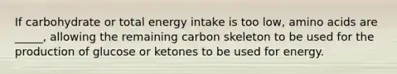 If carbohydrate or total energy intake is too low, amino acids are _____, allowing the remaining carbon skeleton to be used for the production of glucose or ketones to be used for energy.