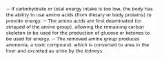 ~ If carbohydrate or total energy intake is too low, the body has the ability to use amino acids (from dietary or body proteins) to provide energy. ~ The amino acids are first deaminated (or stripped of the amine group), allowing the remaining carbon skeleton to be used for the production of glucose or ketones to be used for energy. ~ The removed amine group produces ammonia, a toxic compound, which is converted to urea in the liver and excreted as urine by the kidneys.