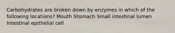 Carbohydrates are broken down by enzymes in which of the following locations? Mouth Stomach Small intestinal lumen Intestinal epithelial cell