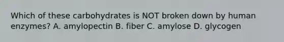 Which of these carbohydrates is NOT broken down by human enzymes? A. amylopectin B. fiber C. amylose D. glycogen