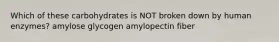 Which of these carbohydrates is NOT broken down by human enzymes? amylose glycogen amylopectin fiber