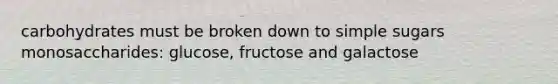 carbohydrates must be broken down to simple sugars monosaccharides: glucose, fructose and galactose