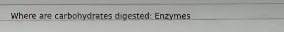 Where are carbohydrates digested: Enzymes