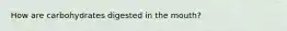 How are carbohydrates digested in the mouth?