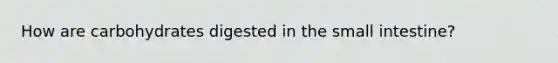 How are carbohydrates digested in the small intestine?