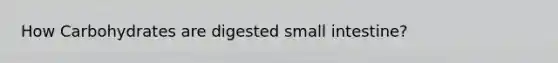 How Carbohydrates are digested small intestine?