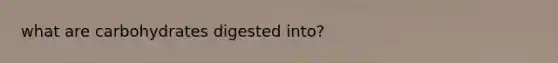 what are carbohydrates digested into?