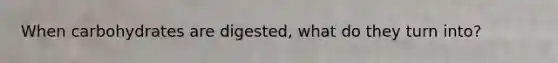 When carbohydrates are digested, what do they turn into?