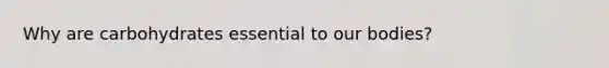 Why are carbohydrates essential to our bodies?