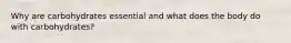 Why are carbohydrates essential and what does the body do with carbohydrates?