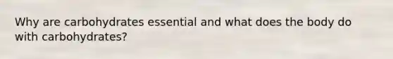 Why are carbohydrates essential and what does the body do with carbohydrates?