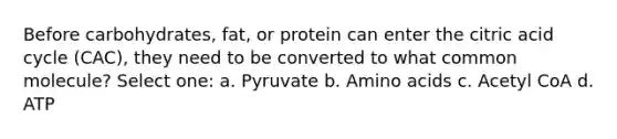 Before carbohydrates, fat, or protein can enter the citric acid cycle (CAC), they need to be converted to what common molecule? Select one: a. Pyruvate b. Amino acids c. Acetyl CoA d. ATP