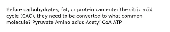 Before carbohydrates, fat, or protein can enter the citric acid cycle (CAC), they need to be converted to what common molecule? Pyruvate Amino acids Acetyl CoA ATP