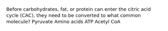 Before carbohydrates, fat, or protein can enter the citric acid cycle (CAC), they need to be converted to what common molecule? Pyruvate Amino acids ATP Acetyl CoA