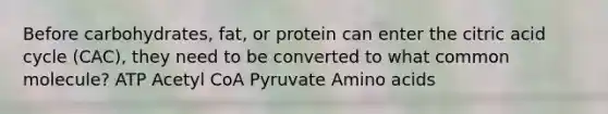 Before carbohydrates, fat, or protein can enter the citric acid cycle (CAC), they need to be converted to what common molecule? ATP Acetyl CoA Pyruvate Amino acids