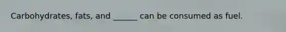 Carbohydrates, fats, and ______ can be consumed as fuel.
