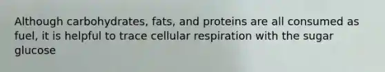 Although carbohydrates, fats, and proteins are all consumed as fuel, it is helpful to trace cellular respiration with the sugar glucose