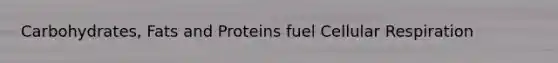 Carbohydrates, Fats and Proteins fuel Cellular Respiration